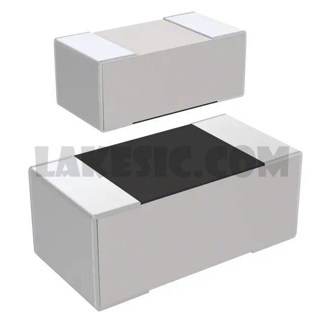 RC1005J000CS